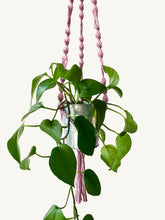 Load image into Gallery viewer, Macrame Plant Hanger