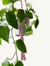 Load image into Gallery viewer, Macrame Plant Hanger