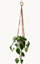 Load image into Gallery viewer, Macrame Plant Hanger