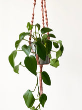 Load image into Gallery viewer, Macrame Plant Hanger