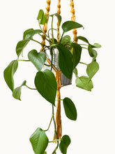 Load image into Gallery viewer, Macrame Plant Hanger