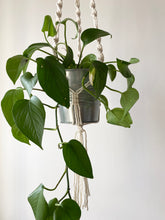 Load image into Gallery viewer, Macrame Plant Hanger