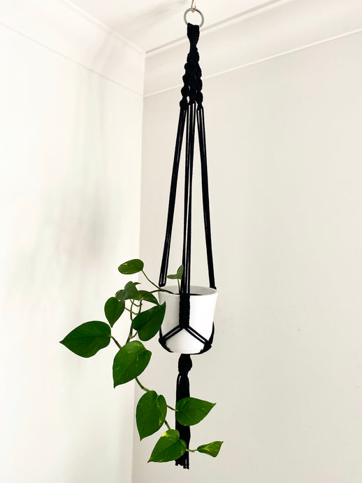 Simple Macrame Plant Hanger