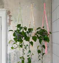 Load image into Gallery viewer, Neon Rope Plant Hangers