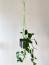 Load image into Gallery viewer, Neon Rope Plant Hangers