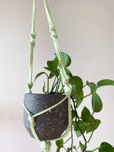Load image into Gallery viewer, Neon Rope Plant Hangers