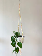Load image into Gallery viewer, Neon Rope Plant Hangers