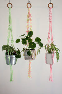Recycled Poly Plant Hanger - Assorted Colours