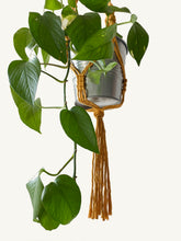 Load image into Gallery viewer, Macrame Plant Hanger