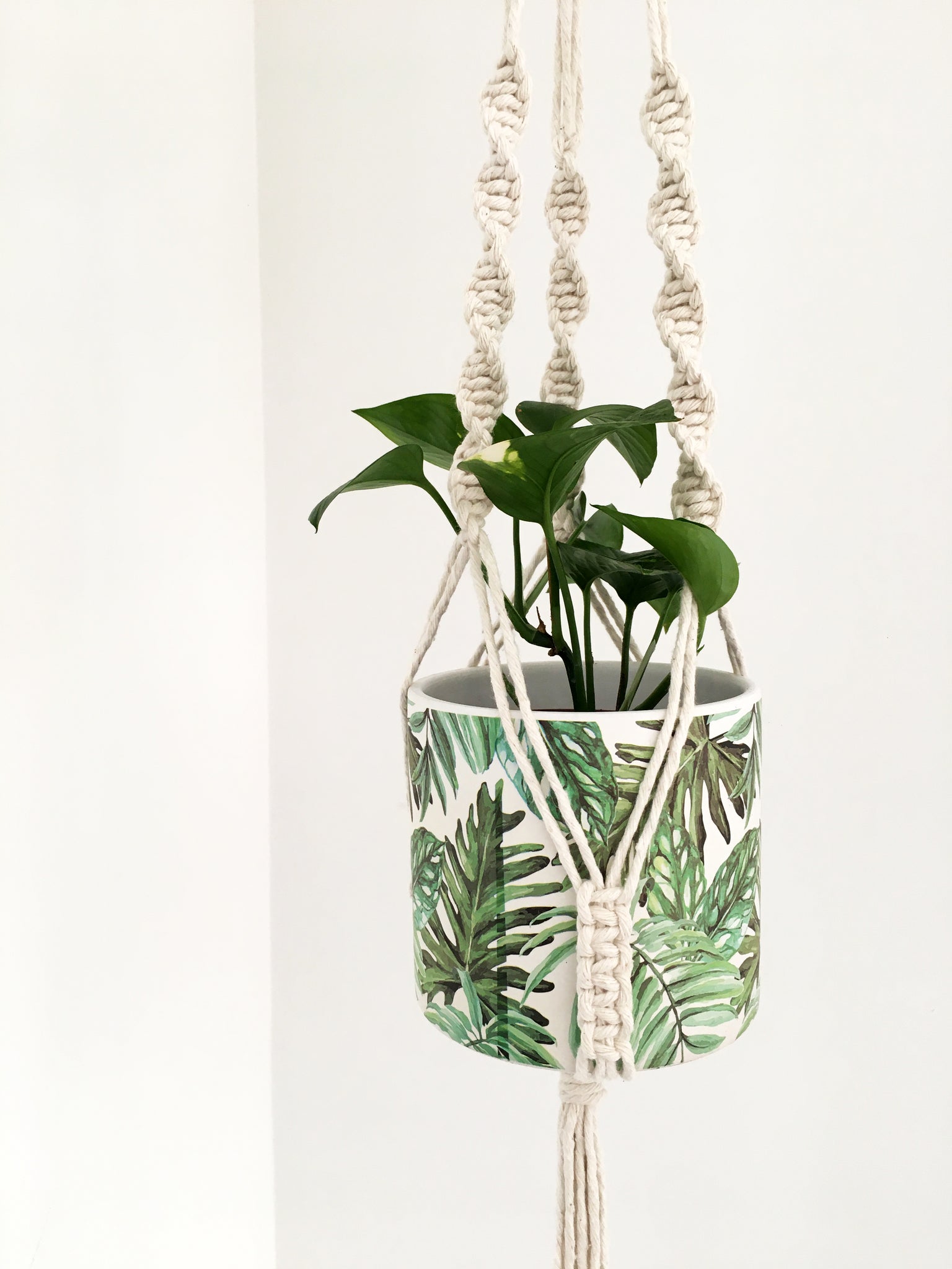 macrame hanging plant kit D.I.Y Macrame Plant Hanger Kit