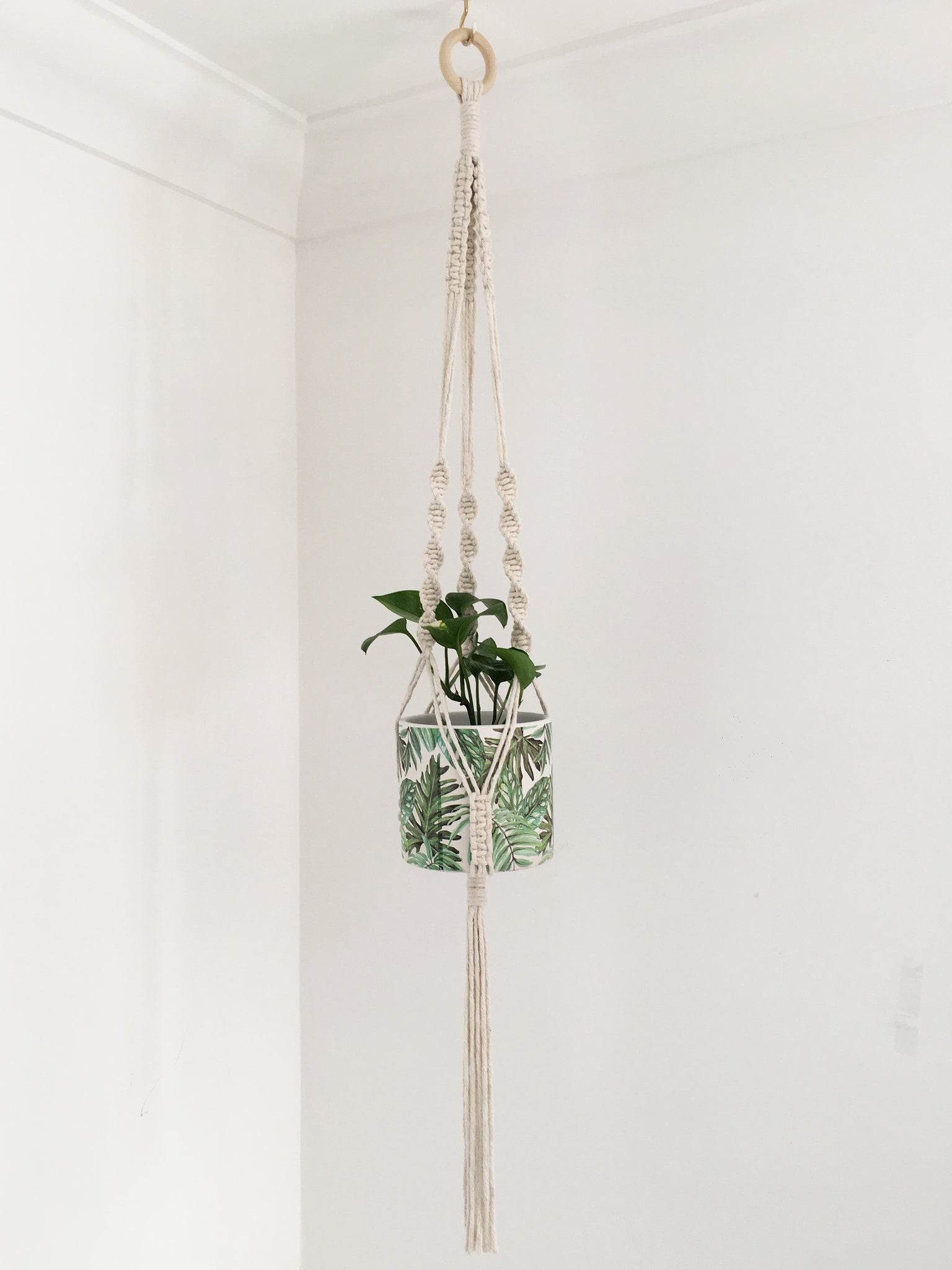 macrame plant hanger kits D.I.Y Macrame Plant Hanger Kit