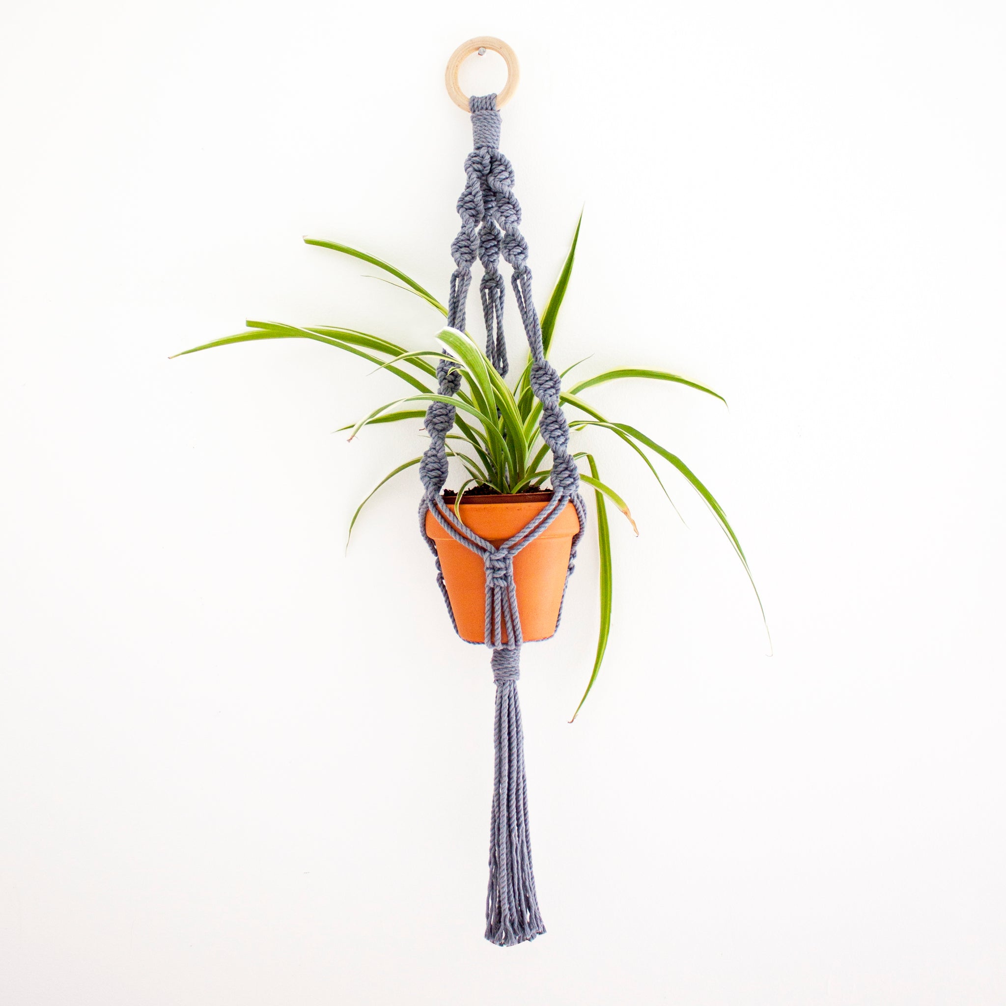mini plant hanger diy D.I.Y Macrame Plant Hanger Kit