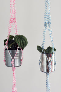 Modern Rope Plant Hanger with Carabiner - Assorted Colours