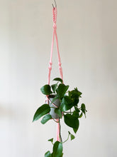 Load image into Gallery viewer, Neon Rope Plant Hangers