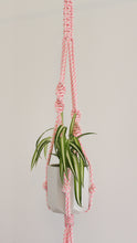 Load image into Gallery viewer, Recycled Poly Plant Hanger - Assorted Colours
