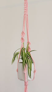 Recycled Poly Plant Hanger - Assorted Colours