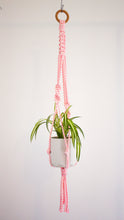 Load image into Gallery viewer, Recycled Poly Plant Hanger - Assorted Colours