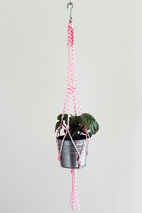Modern Rope Plant Hanger with Carabiner - Assorted Colours